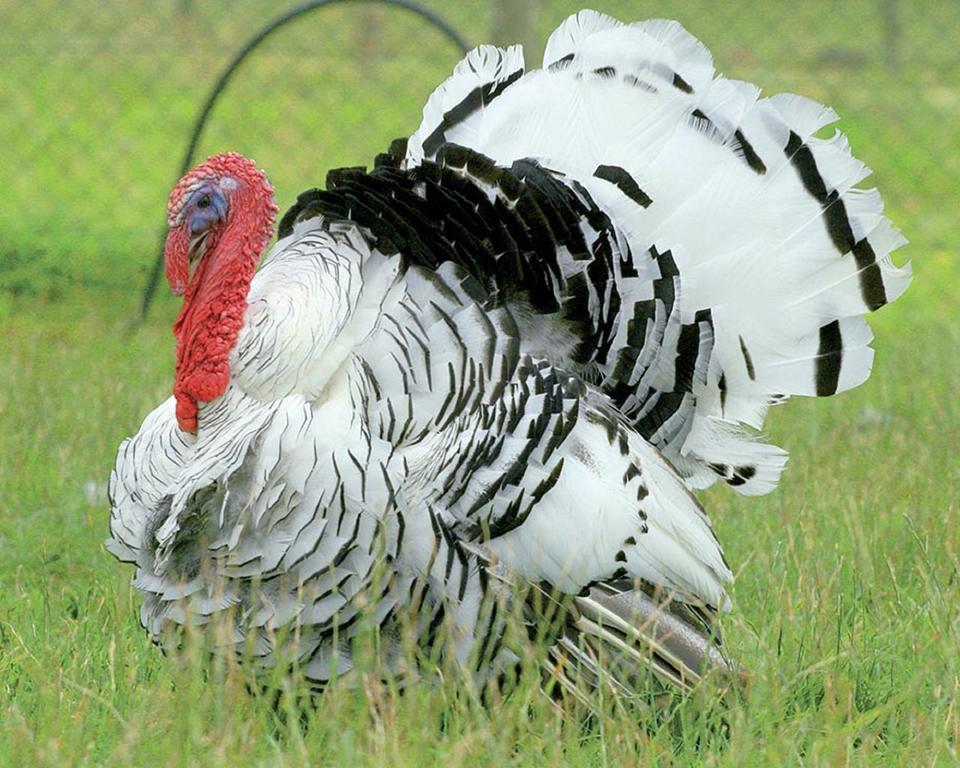 Gite De Cray Lussault-sur-Loire Ngoại thất bức ảnh