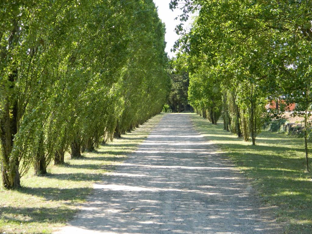 Gite De Cray Lussault-sur-Loire Ngoại thất bức ảnh